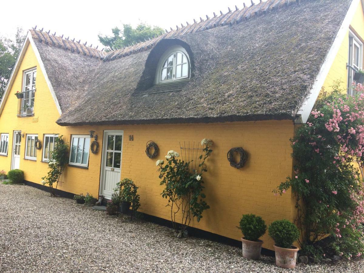 Bella Bed&Breakfast Stevns Arnoje Exterior foto